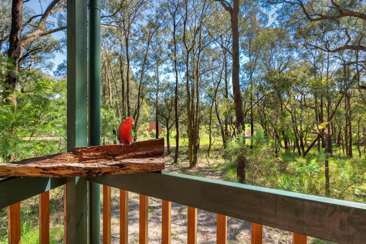 Cockatoo Cottages Ngoại thất bức ảnh